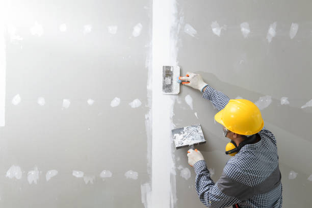 Mold Documentation for Insurance Claims in Walnut, CA